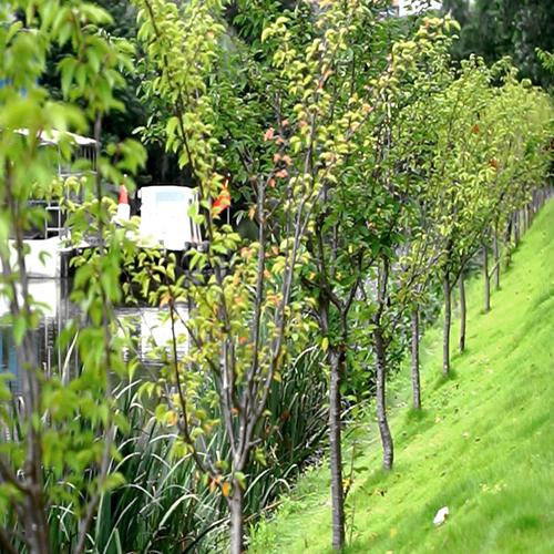 綠化混凝土,植被混凝土,植生混凝土,透水混凝土, 彩色混凝土,生態(tài)混凝土添加劑-生態(tài)性好