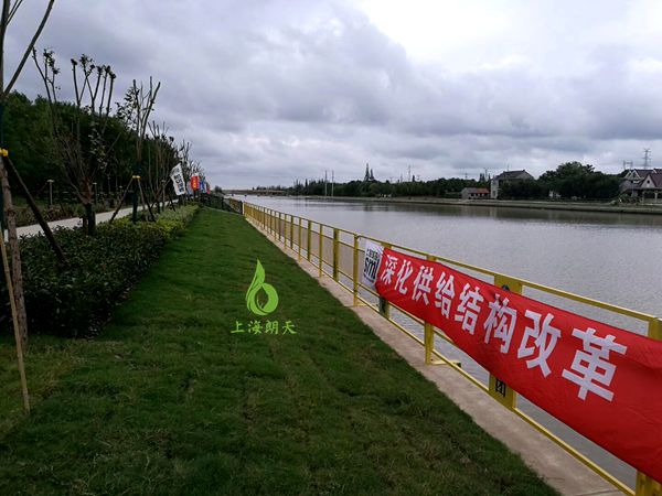 綠化混凝土,植被混凝土,植生混凝土,透水混凝土, 彩色混凝土,生態(tài)混凝土添加劑-上海崇明環(huán)島運(yùn)河