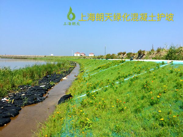 綠化混凝土,植被混凝土,植生混凝土,透水混凝土, 彩色混凝土,生態(tài)混凝土添加劑-吹填工程邊坡  海堤 江堤