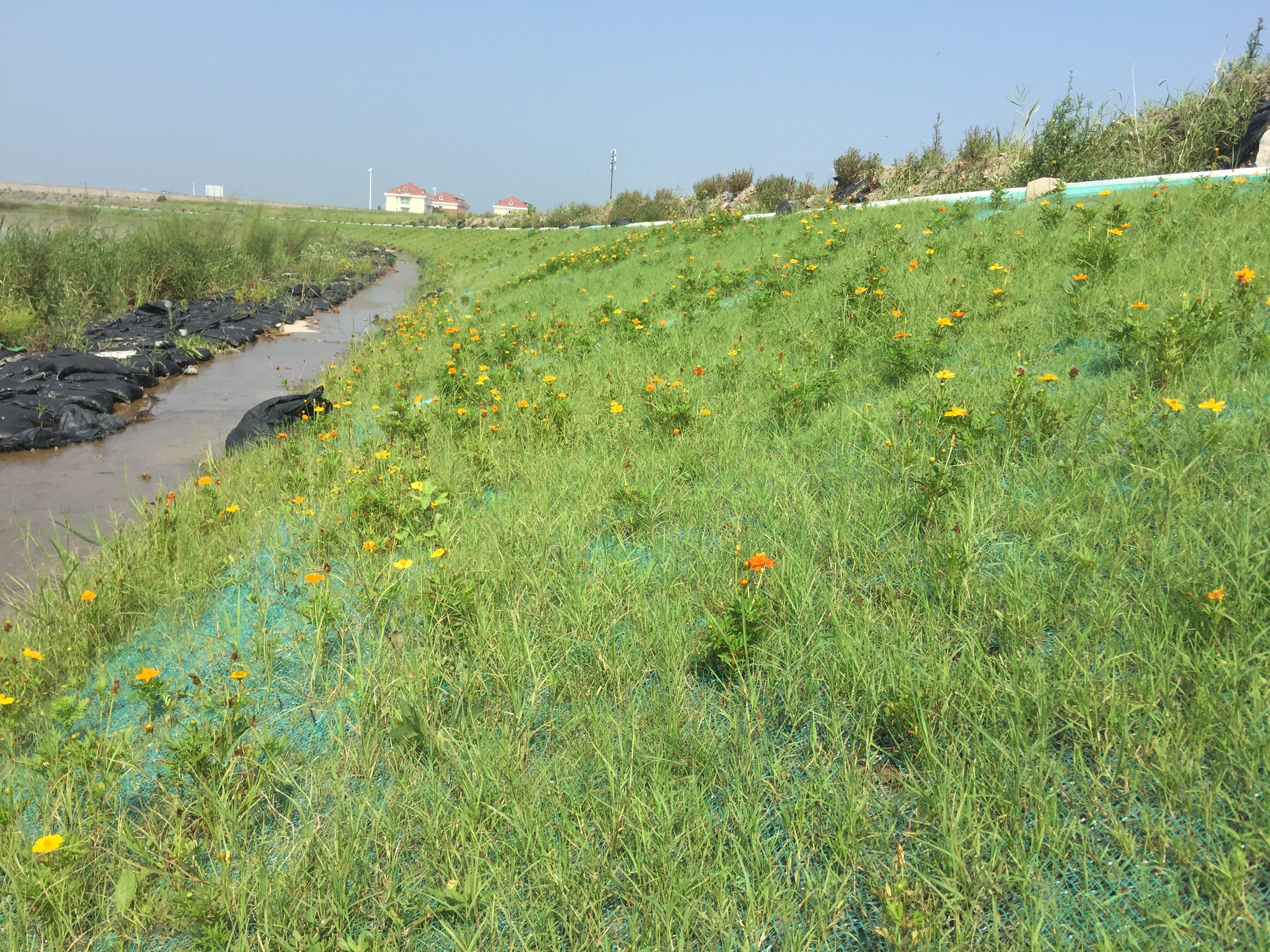 綠化混凝土,植被混凝土,植生混凝土,透水混凝土, 彩色混凝土,生態(tài)混凝土添加劑-免養(yǎng)護(hù)